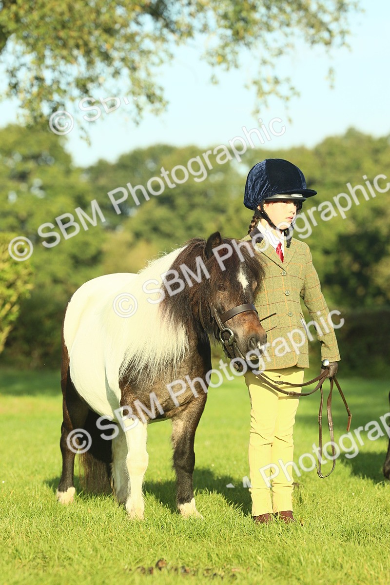 SBM_57447 - S37 - Starters In Hand Showing