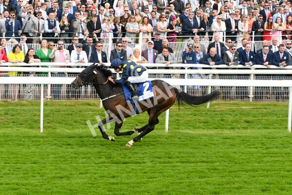 yr11062022r5-33 - Race 5 3.40pm The Pavers Foundation Catherine Memorial Sprint Stakes