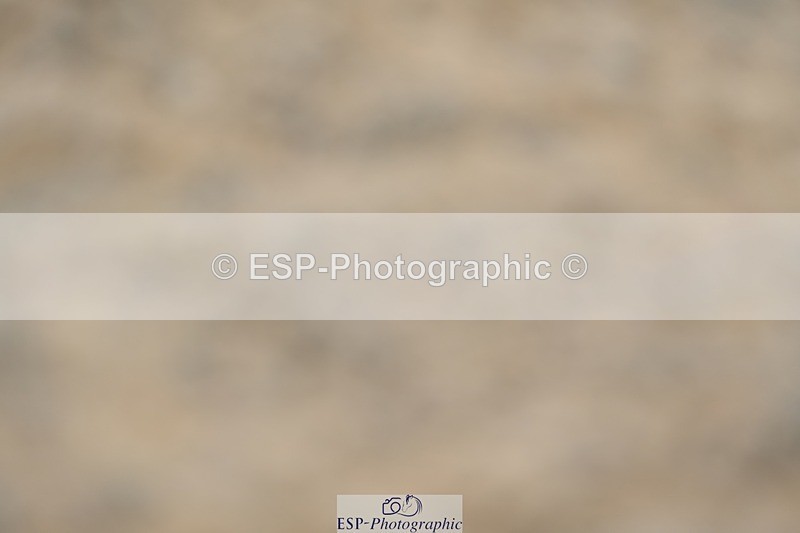 230813-111142-06531 - Cls 12 Elem Silver 10.35 to End