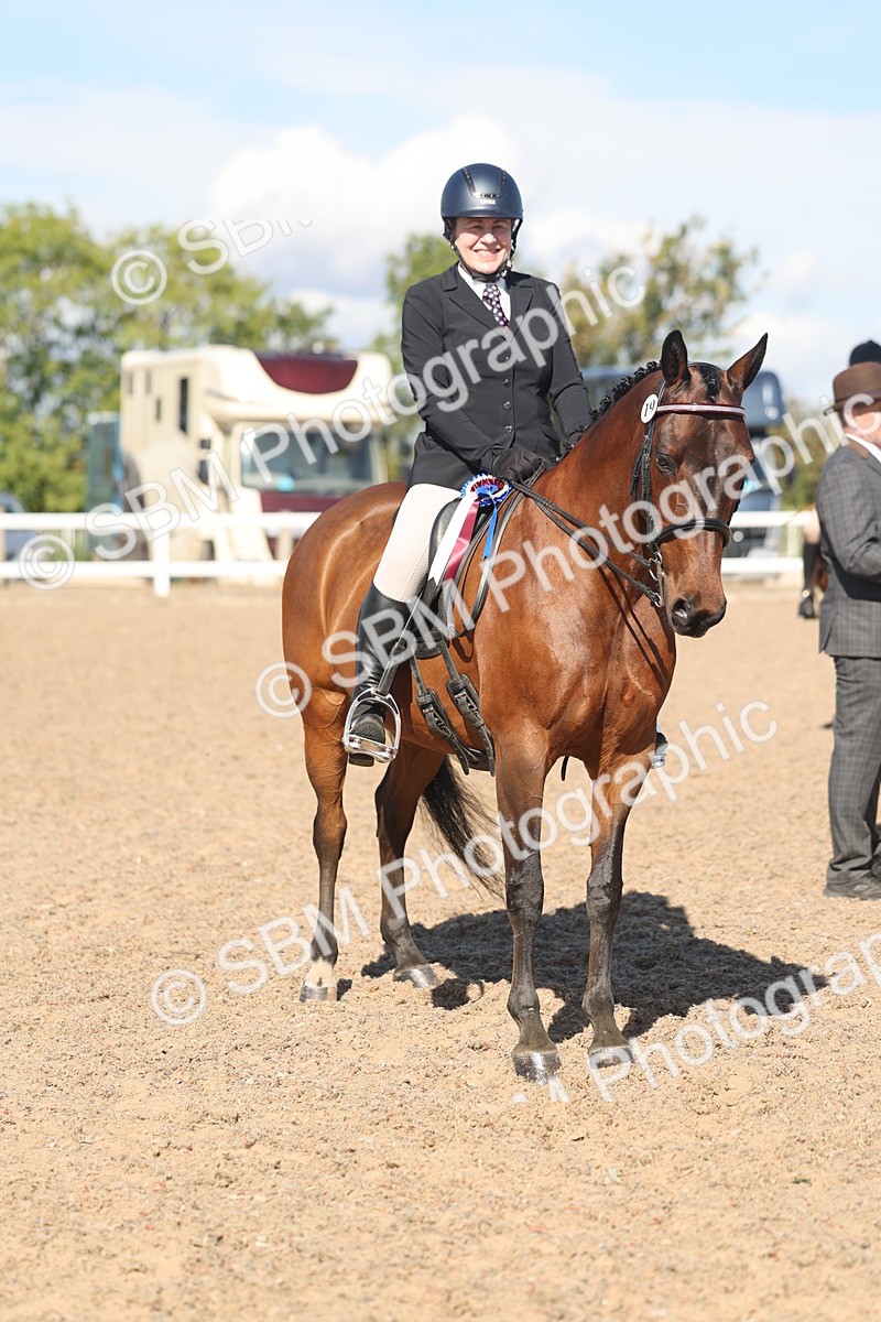 SBM_13122 - Class 305 - Ridden Foreign Breed Pure Bred