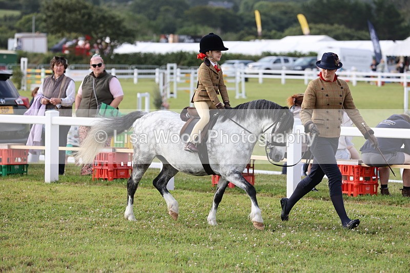 JPP_0301 - Class 14: Cornish Combination Leading Rein