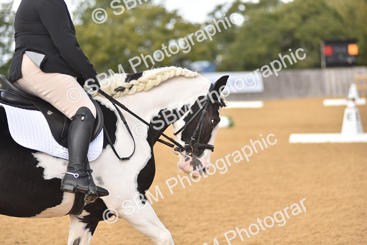 SBM_07834 - D15 - Small Tour Championship Novice 1