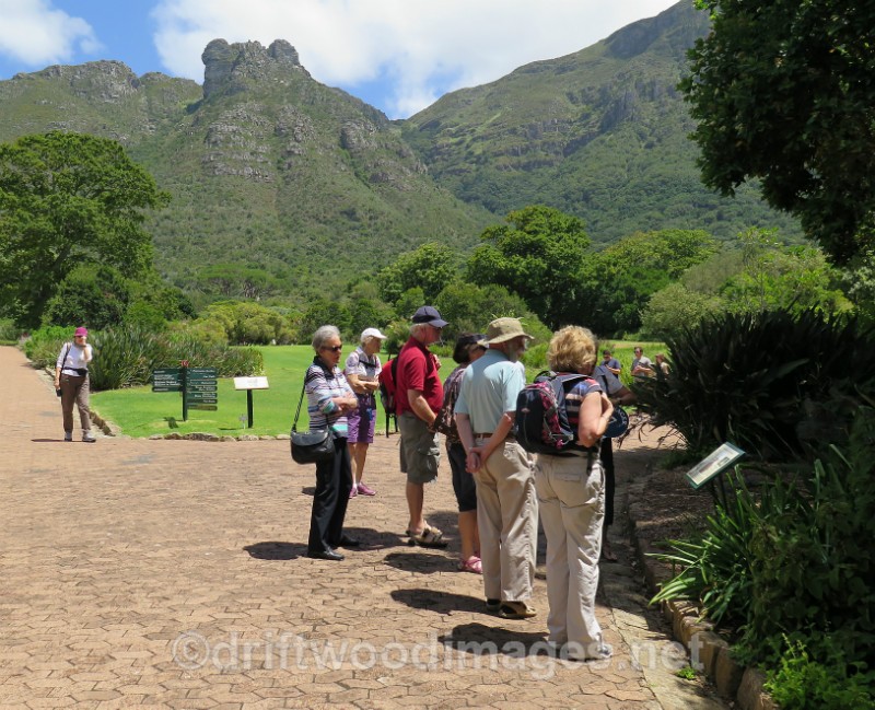 South Africa Cape Town National Botanical Garden group and guide 3 - Cape Town, South Africa