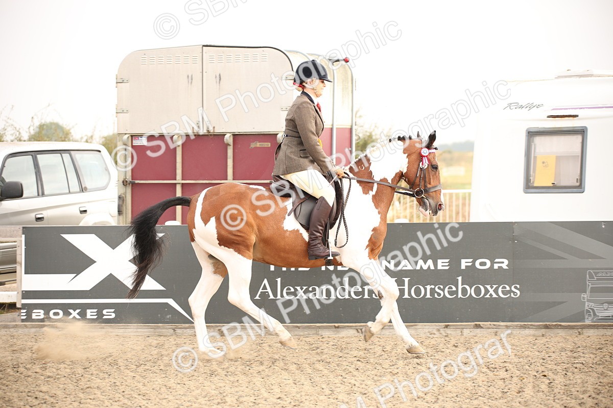 SBM_09833 - Class 401 Riding Club Pony
