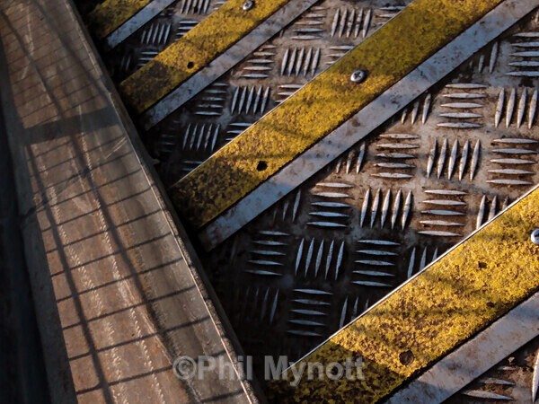 ART0011 - Photo Mynott ART Images