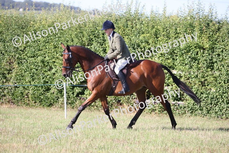 20260906-0393 - Class 14 - Ex Racehorse