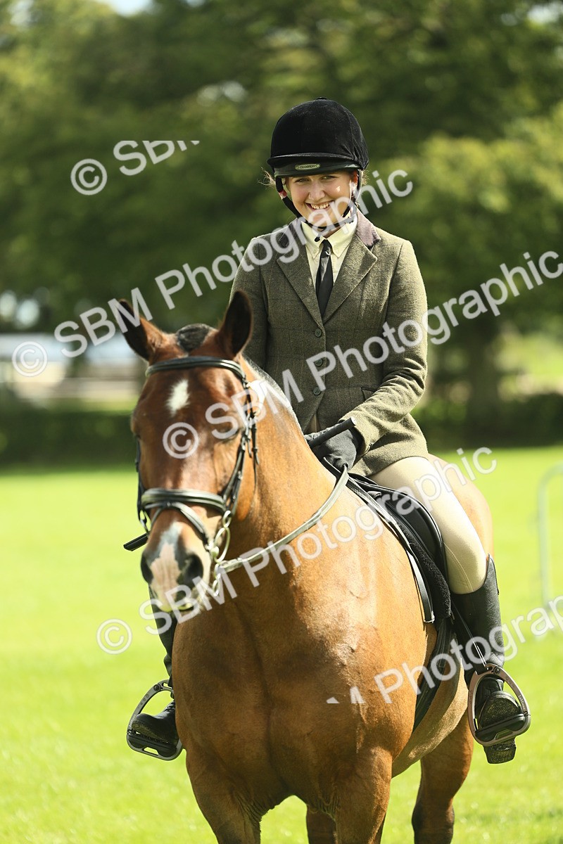 SBM_42148 - S29 - Novice & Newcomers Working Hunter Pony