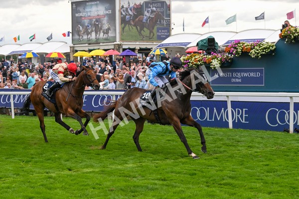 220825-Race 4-Asfoora-7535 - Race 4 3.35pm Coolmore Wootton Bassett Nunthorpe Stakes