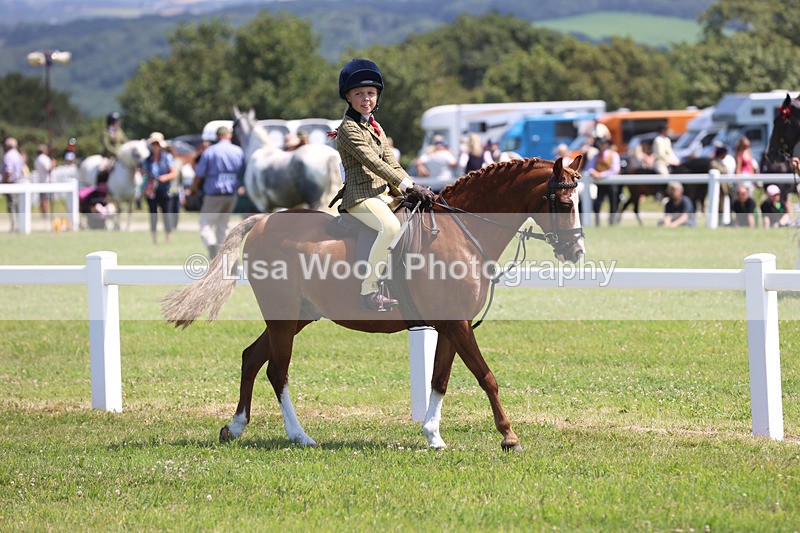 JPP_2703 - Class 21: Working Hunter 60cm