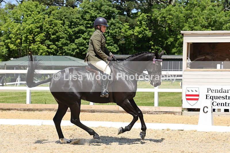 1X9A1857 - Class 12: Ridden Riding Horse/Hack
