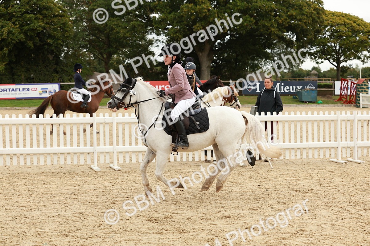 SBM_65364 - Supreme Championship 50cm & 55cm