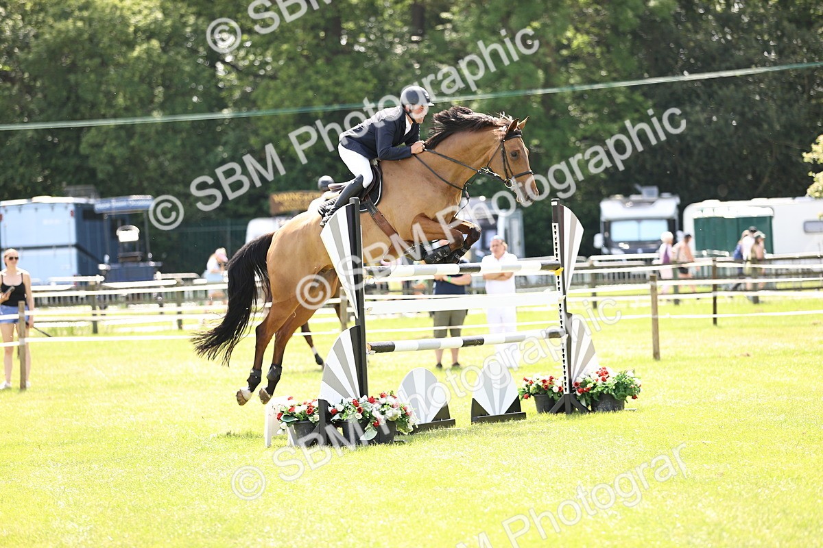 SBM_04020 - Class 201 - British Horse Feedds Speedi Beet HOYS Grade C