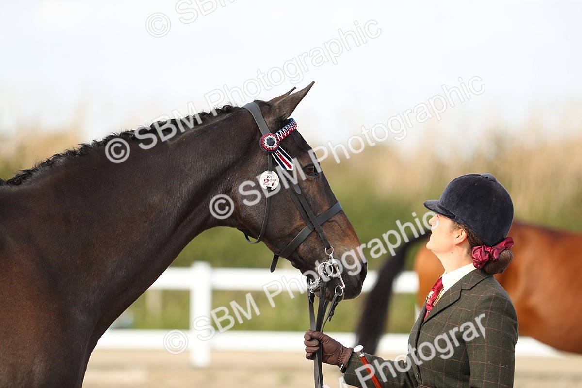 SBM_08643 - Class 28 - IH Veteran Horse