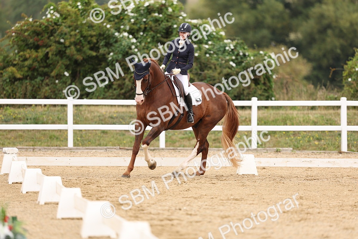 SBM_01649 - Class 9 - Novice 27 Champs