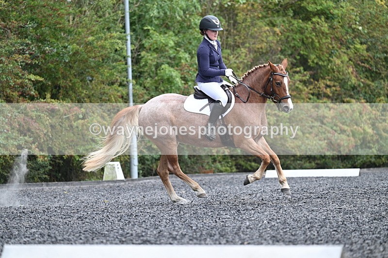 WJ7_3756 - Time 11:04 to 11:38