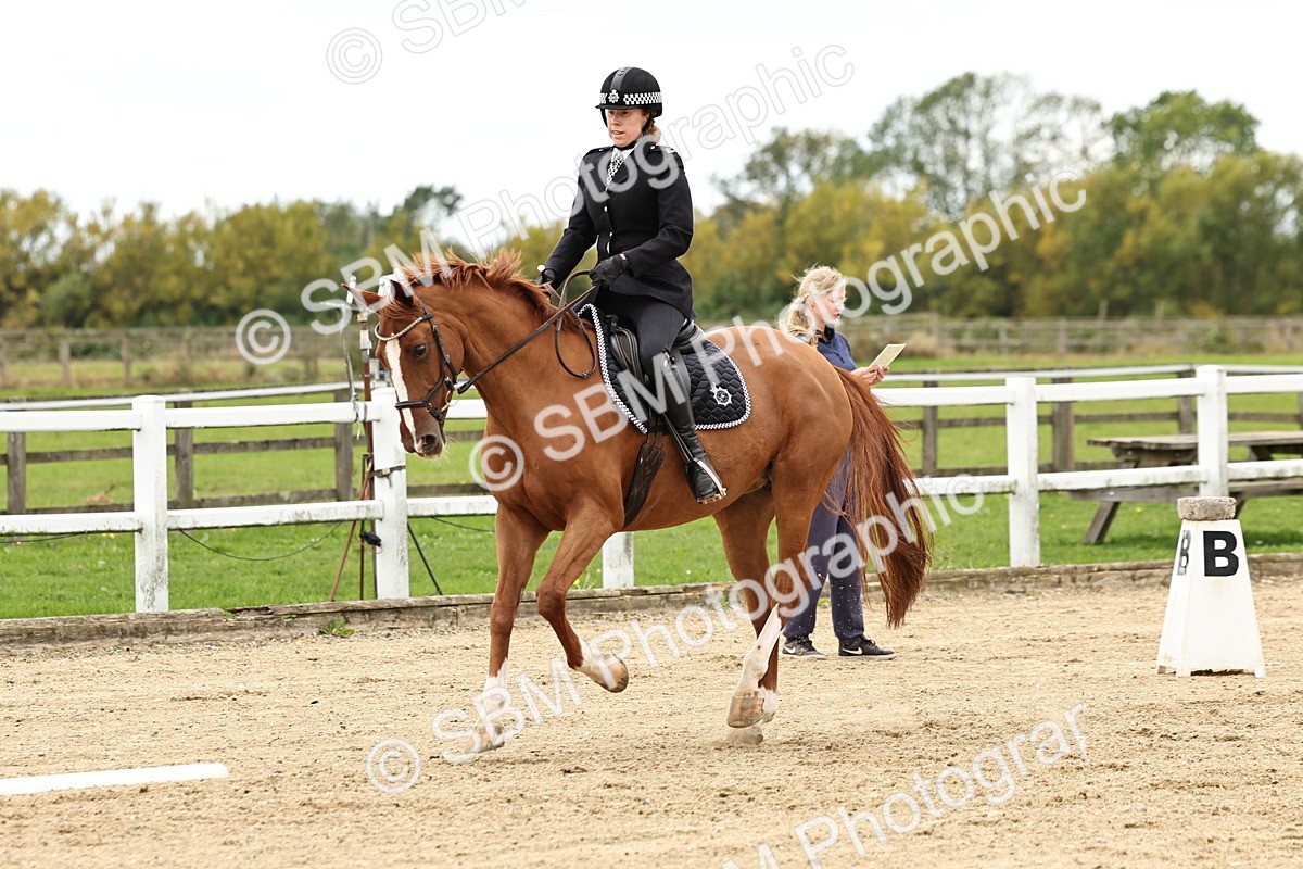 SBM_004579 - Class 69 - Novice 2