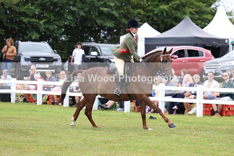 3E7A1278 - Class 8: Open Riding Horse/Hack