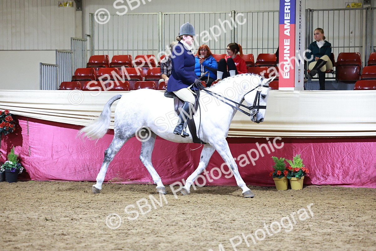 SBM_21124 - class Q - Ridden Horse Champ