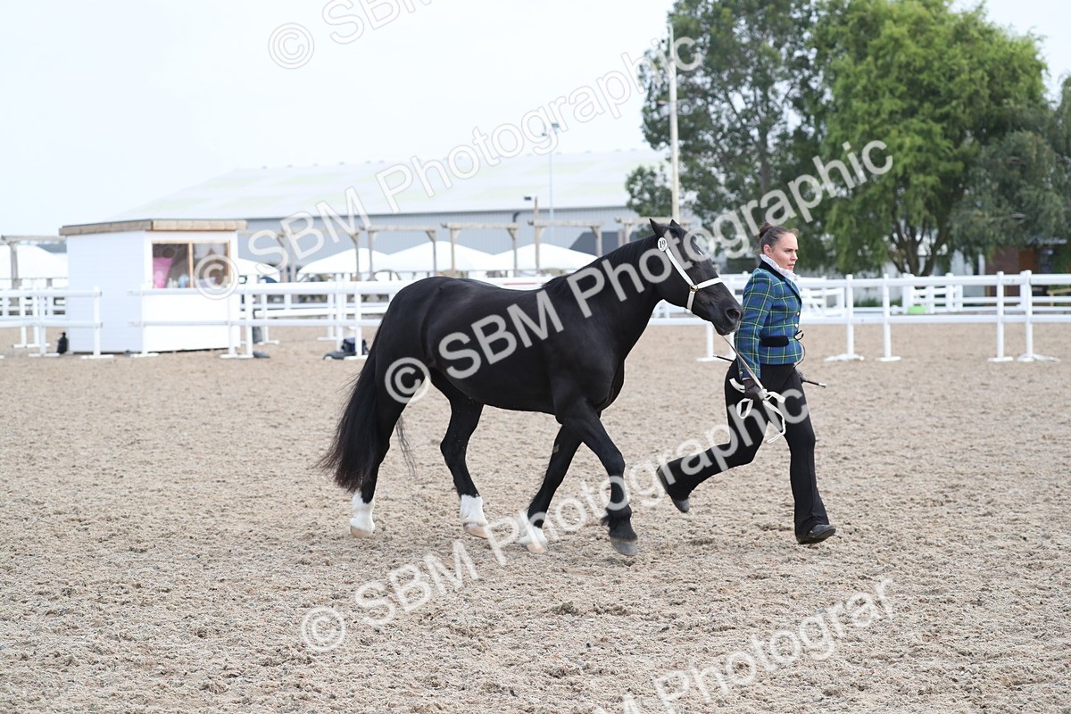 SBM_23323 - Class 606 - 2025 Area - IH Pre Vet