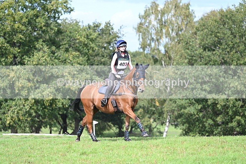 WJ7_2540 - Time 13:55 to 14:05