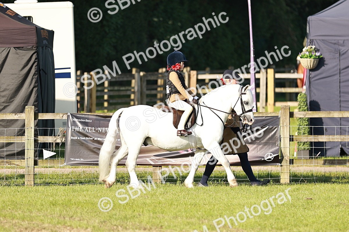 SBM_10998 - Class 106-107 - BSPS LIHS Working Sports Pony