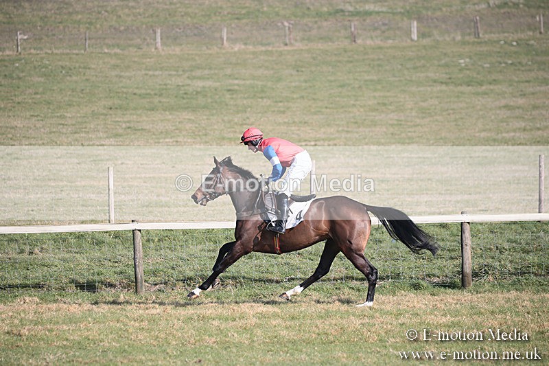 PtP 230219 152 - Vine & Craven Point-To-Point - Barbury 23/02/19