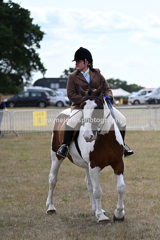 WJ7_5558 - Class 12 Ridden Cob