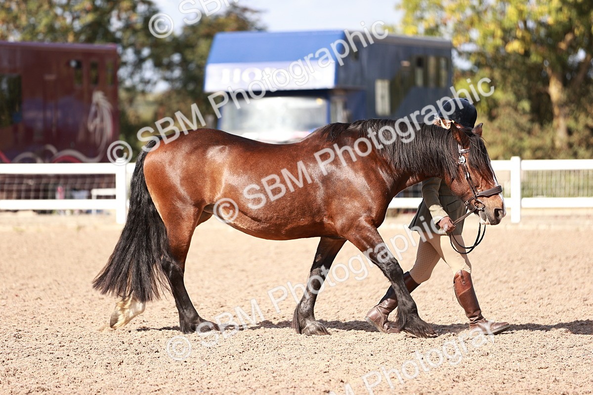 SBM_22871 - Class 706 - IH Veteran