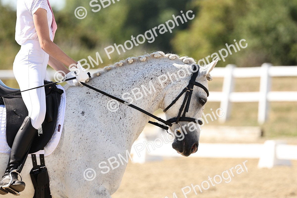 SBM_003923 - Prelim 4 - 16.21-17.31