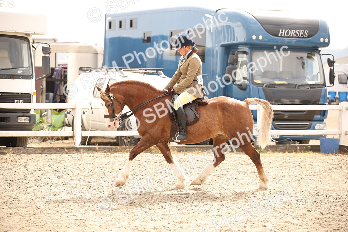 SBM_12607 - Class 405b - M&M Working Veteran 50cm 20+