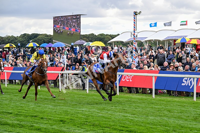210826-Race 1-Blue Courvoisier-4967 - Race 1 13.50pm Sky Bet Mile Handicap