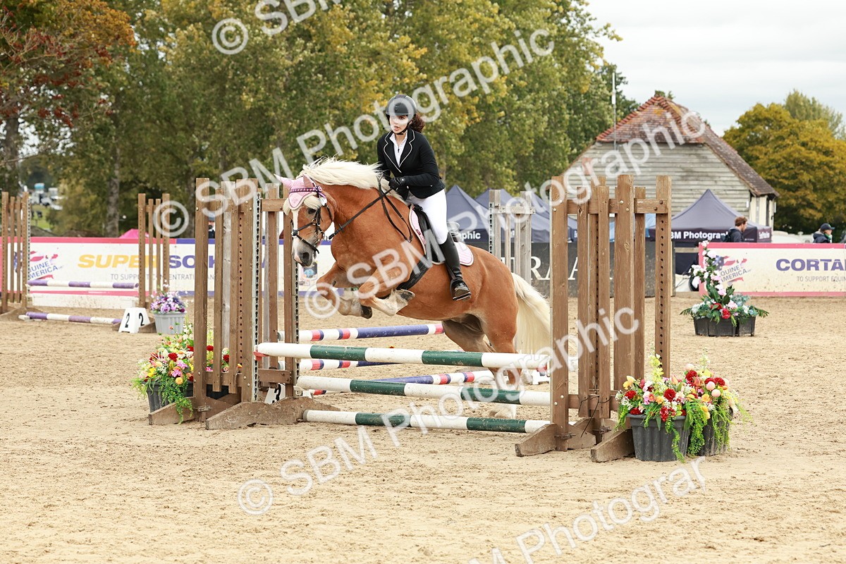 SBM_67102 - J13 - Junior Pony 60cm Championship