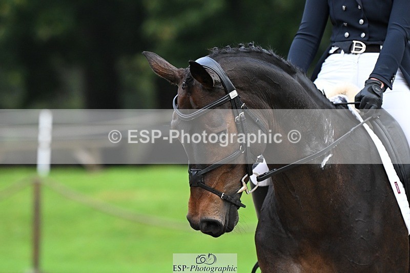 231019-090247-00930 - 021-DESTINY-Annie.Smith-DR