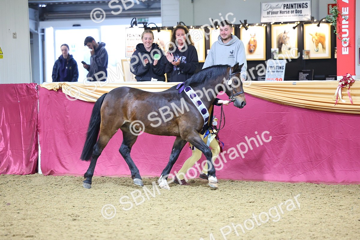 SBM_18611 - Class B Junior Champ 11-16 years