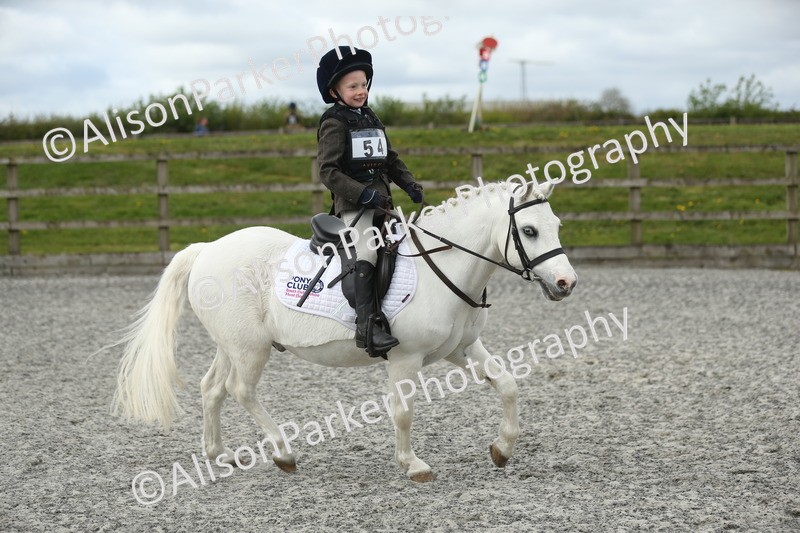 20260412-0716 - Show Jumping