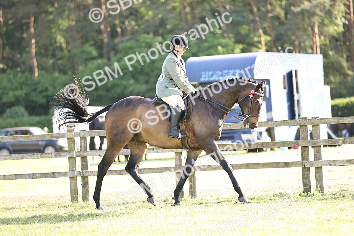 SBM_19771 - Class 87-88 - RIHS BSHA Riding Horses