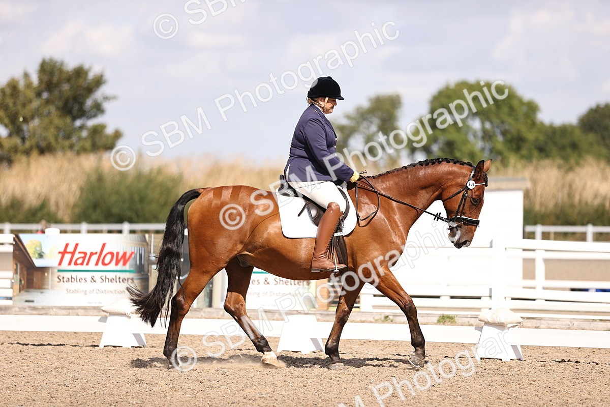 SBM_03634 - CLass 35 Intro 3