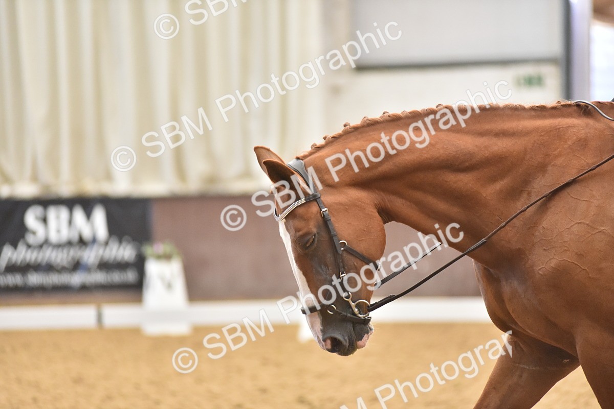 SBM_010712 - Class 5 - Prelim 5