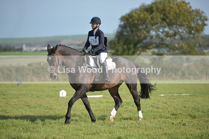 RAY_7475 - Class 2B: Trekenning Open: Dressage