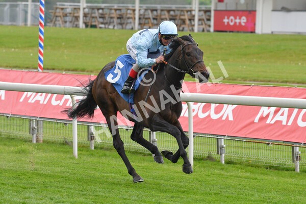 yr14052021r2-10 - Race 2 2.10pm Oak Farm Stables Fillies' Stakes (registered as the Michael Seely Memorial Stakes)