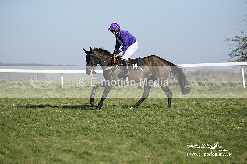 PtP 270222 294 - South & West Wilts Point-to-Point Larkhill 27/02/22