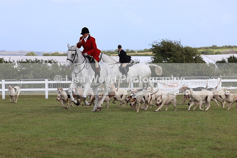 3E7A3445 - Parade of Hounds