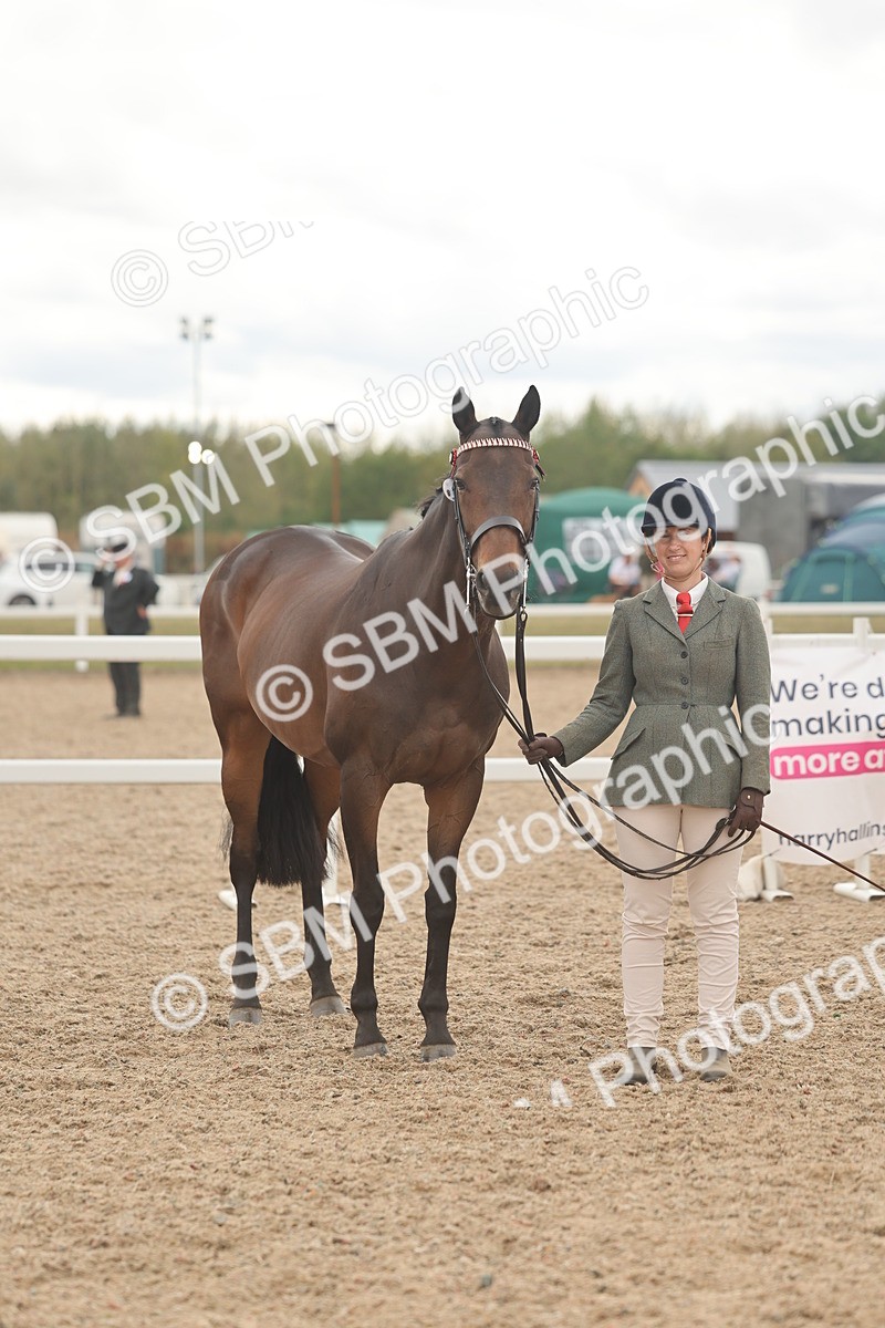SBM_17121 - Class 313 - IH Retired Racehorse