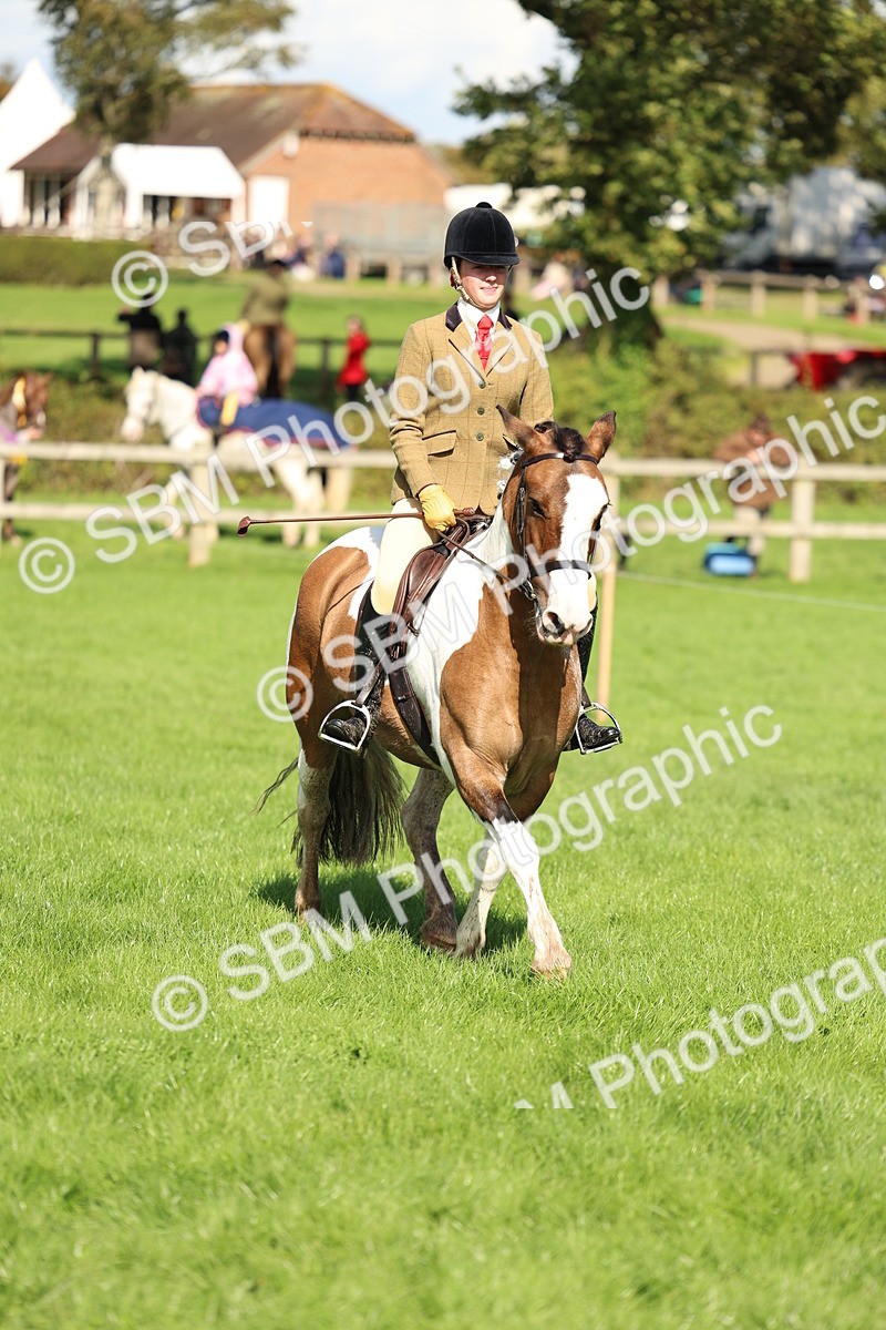 SBM_45481 - S33 - Working Hunter Pony