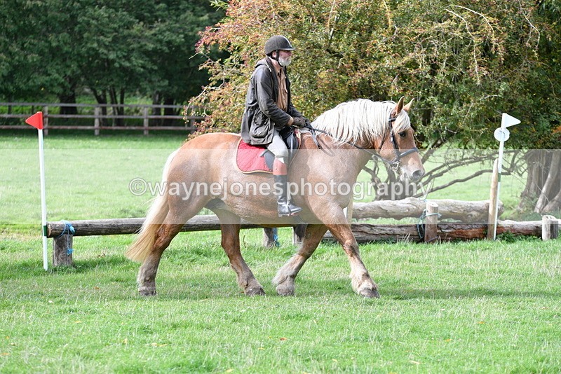 WJ5_9341 - Time 13:03 to 13:25