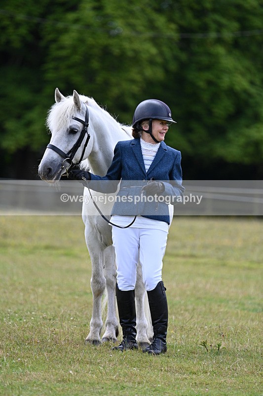 WJ7_7062 - Class 5a Most Handsome Gelding in Hand