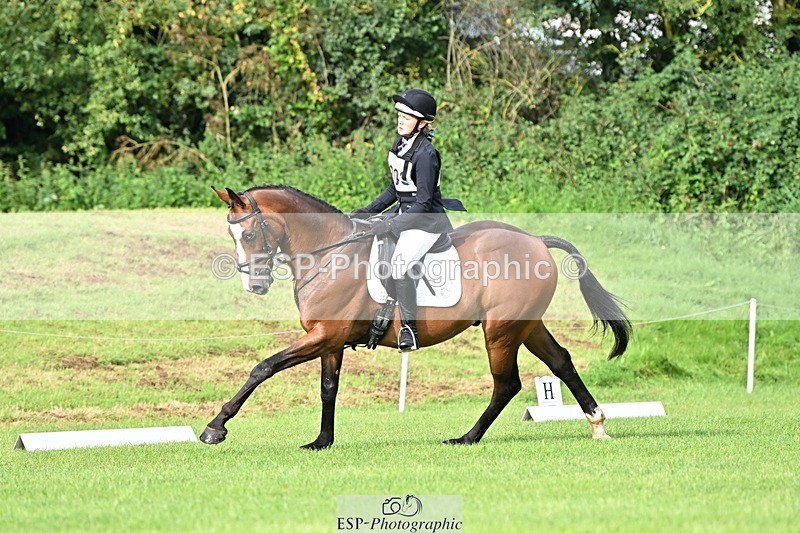 230826-092014-16033 - Sections A & B - 9 to 10am