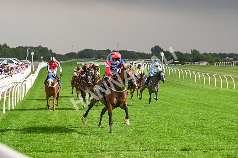 280824-Race 4-Desert Dream-4399 - Race 4