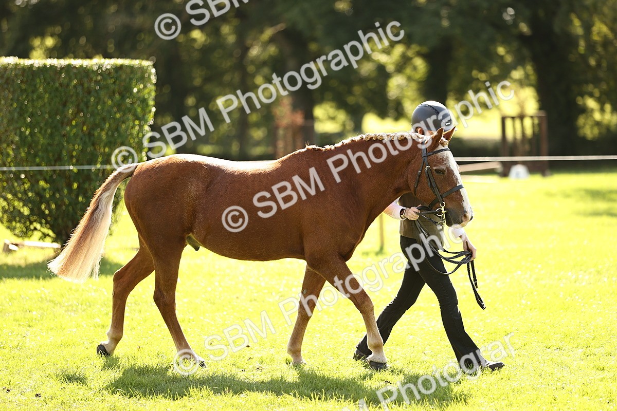SBM_26120 - S5 - Novice & Newcomers In Hand