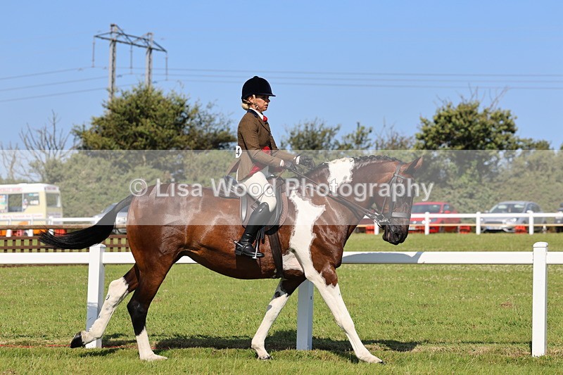 IMG_1629 - Skewbald and Piebald Ridden Championship